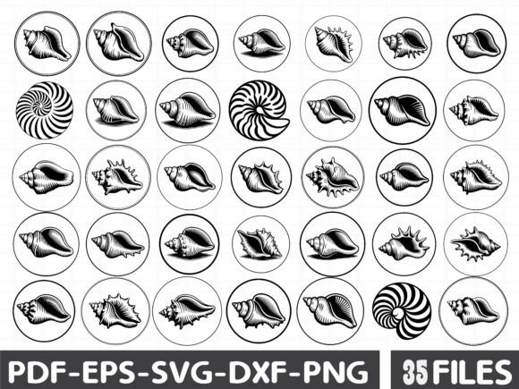 Seashell SVG Bundle Graphics for Branding